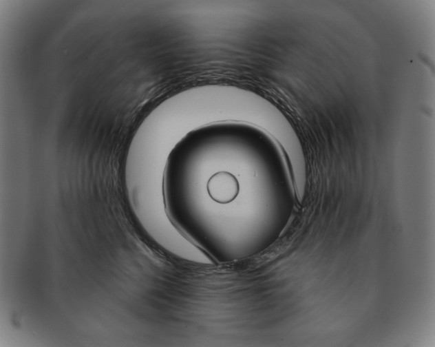 X0000090950568200708301142