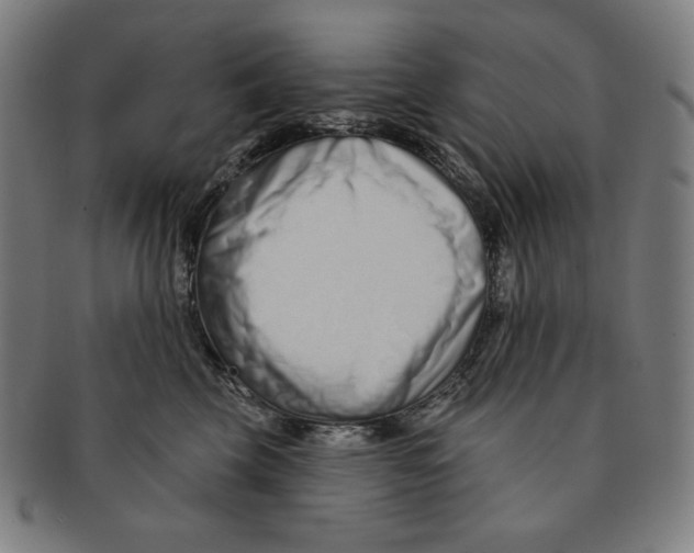 X0000090950569200708301142