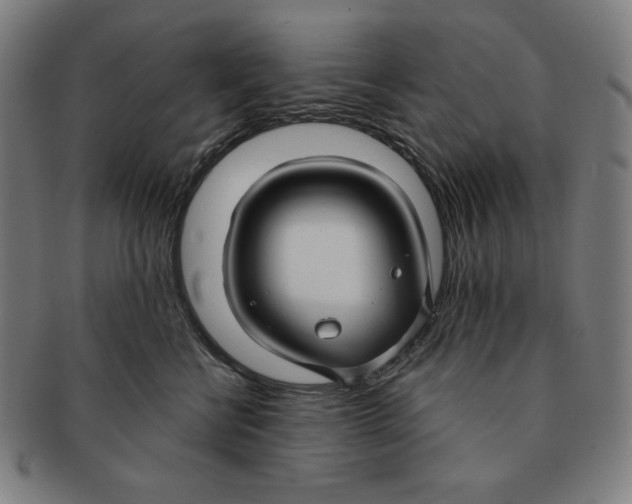 X0000090950570200708301142