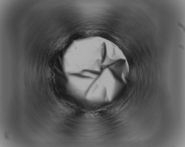 X0000090950571200708301142