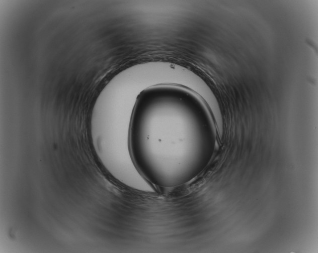 X0000090950572200708301142