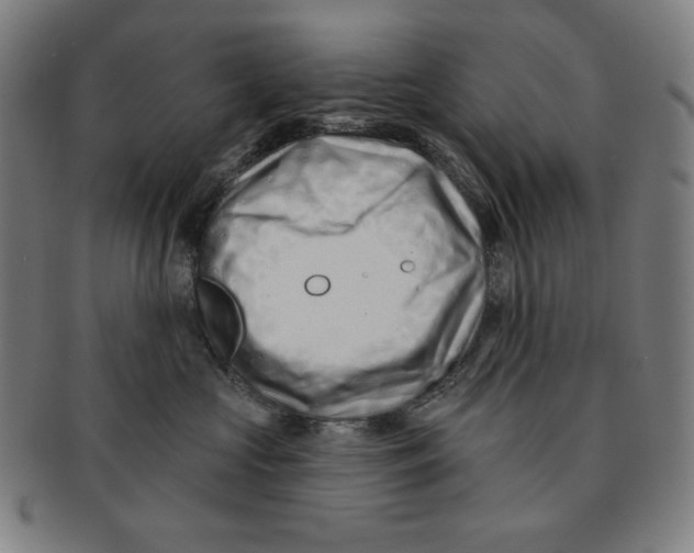 X0000090950573200708301142