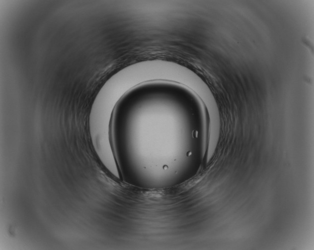 X0000090950574200708301142