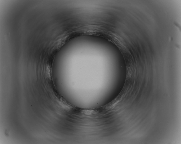 X0000090950575200708301142