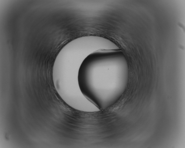 X0000090950576200708301142