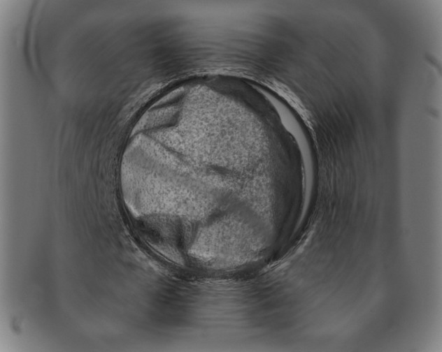 X0000090950577200708301142