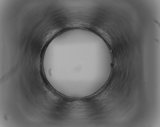 X0000090950578200708301142