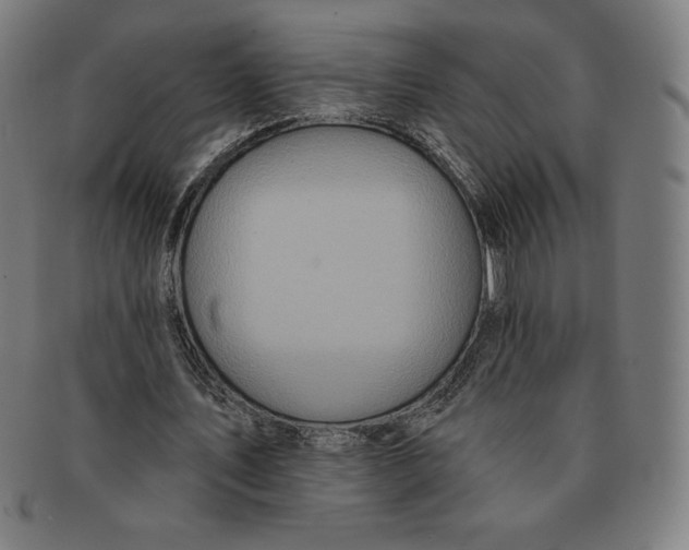 X0000090950579200708301142