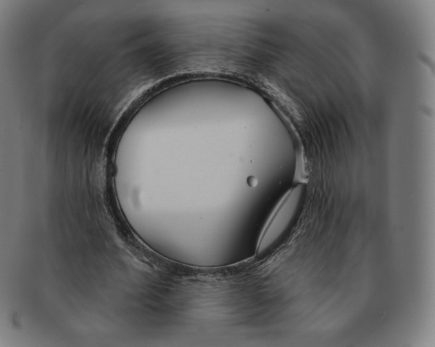 X0000090950580200708301142