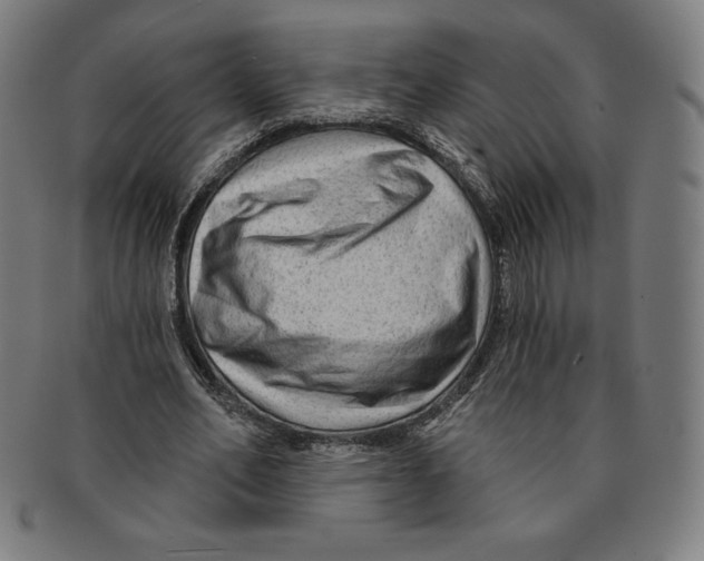 X0000090950582200708301142