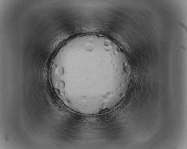 X0000090950583200708301142