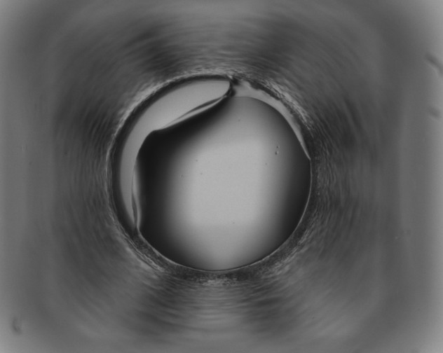 X0000090950584200708301142