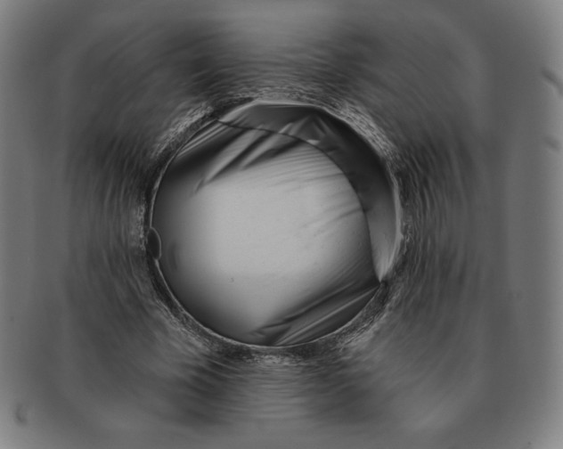 X0000090950585200708301142