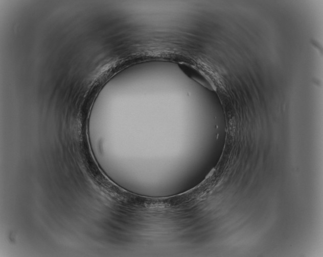 X0000090950587200708301142