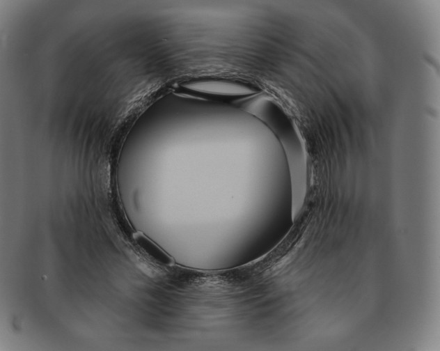 X0000090950589200708301141