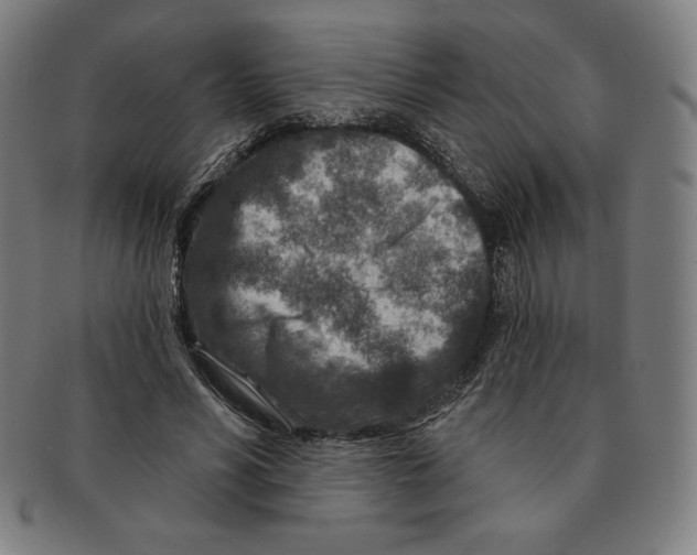 X0000090950590200708301141