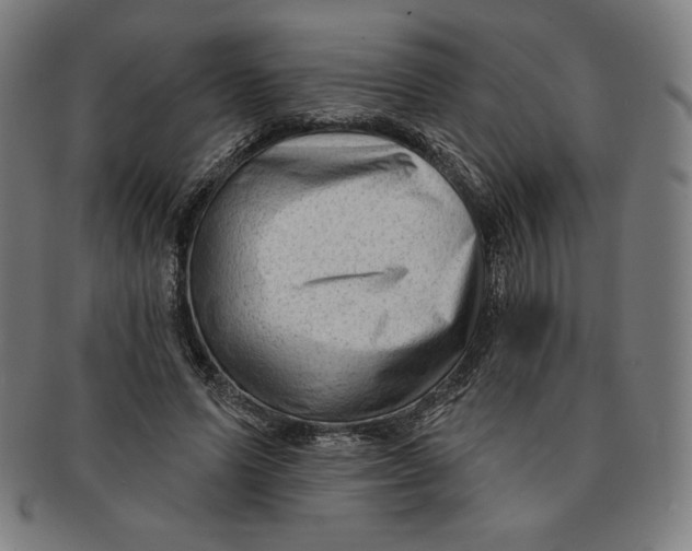 X0000090950591200708301141