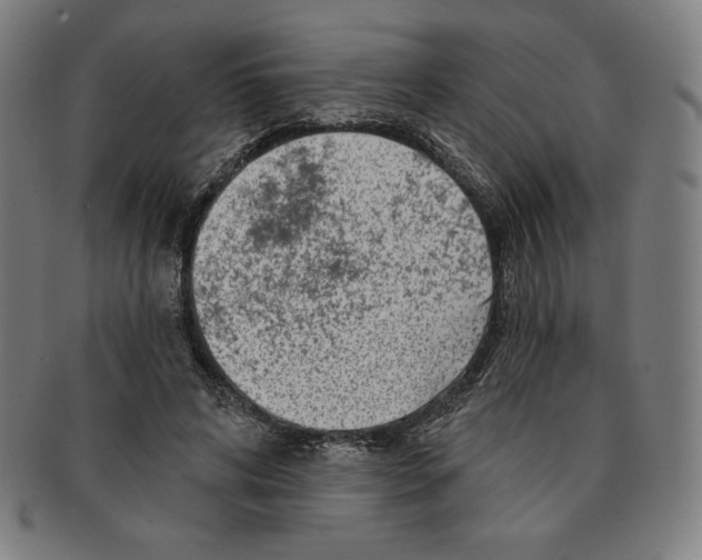 X0000090950592200708301141
