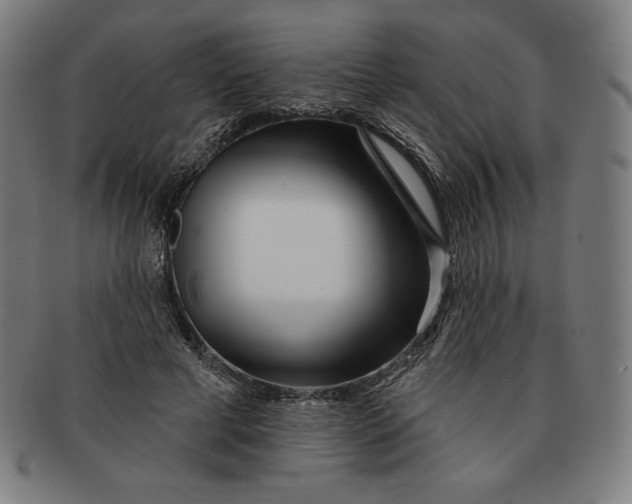 X0000090950593200708301141
