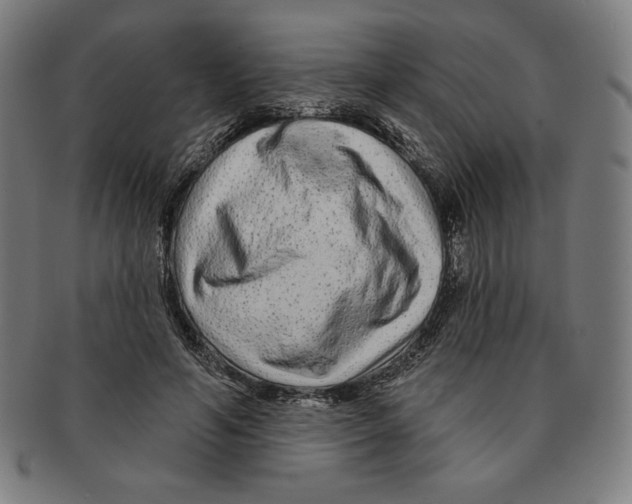 X0000090950594200708301141