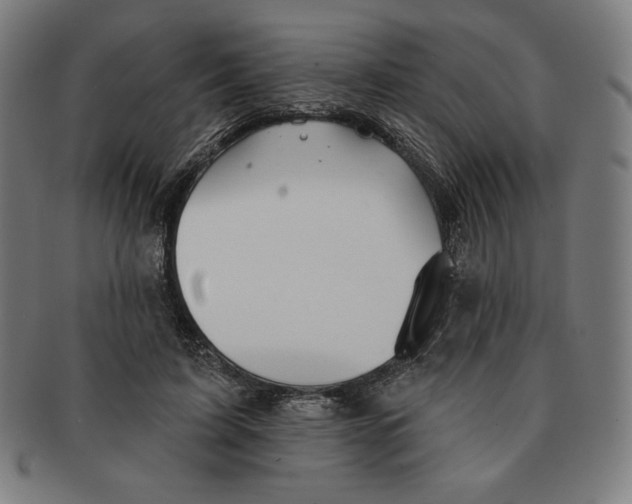 X0000090950595200708301141