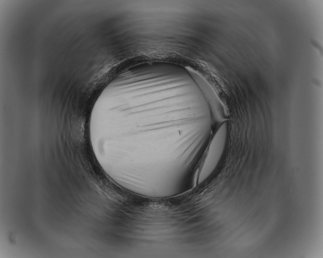 X0000090950596200708301141