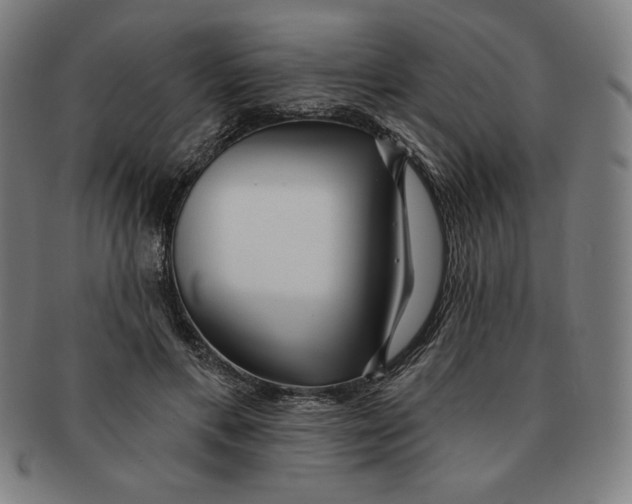 X0000090950597200708301141