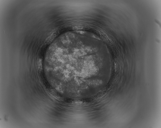 X0000090950598200708301141