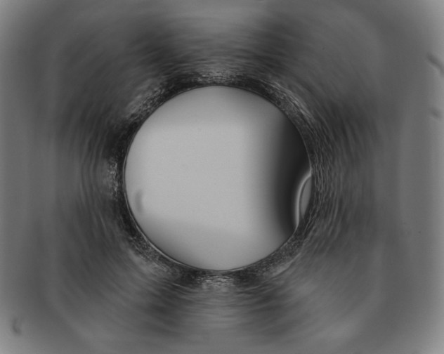X0000090950599200708301141