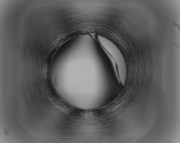 X0000090950600200708301141