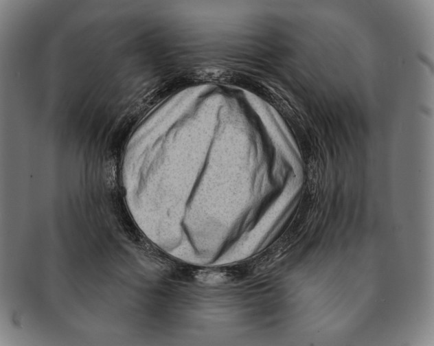 X0000090950602200708301141