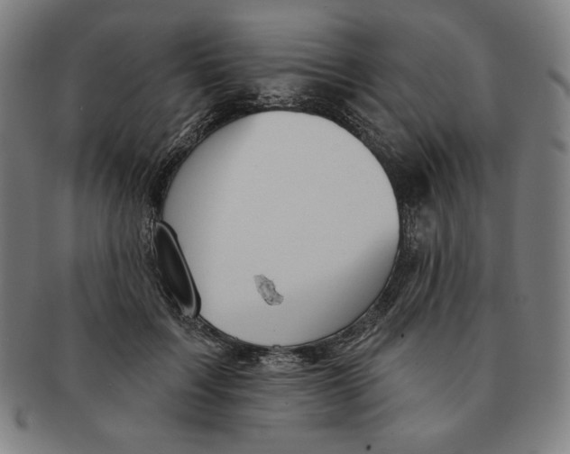 X0000090950603200708301141