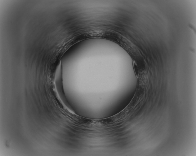 X0000090950604200708301141