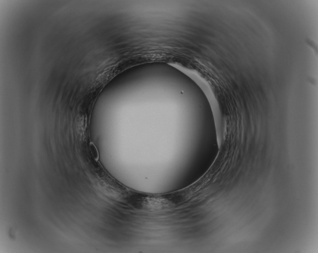 X0000090950605200708301141