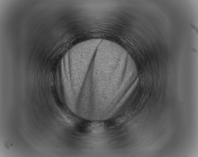 X0000090950606200708301141