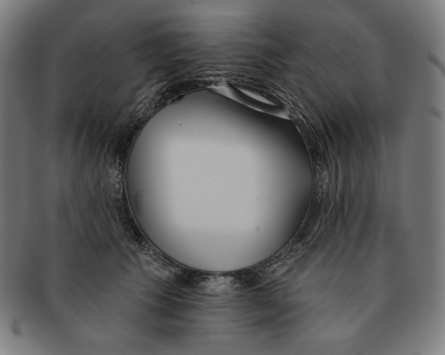 X0000090950609200708301141