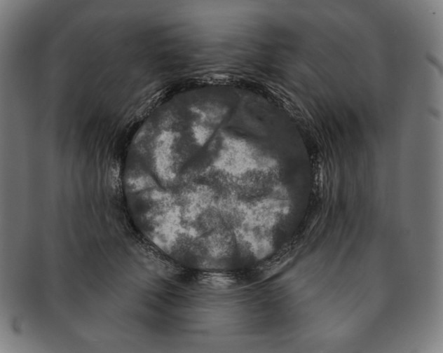 X0000090950610200708301141