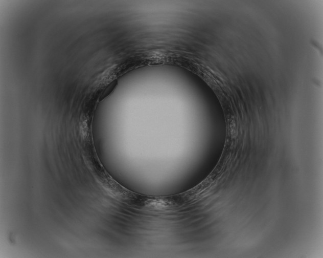 X0000090950611200708301141