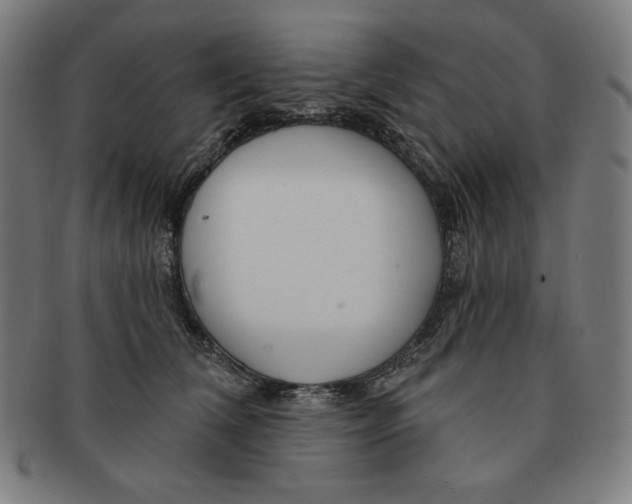 X0000090950612200708301141