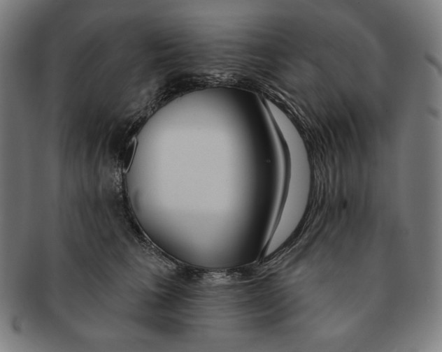 X0000090950613200708301141
