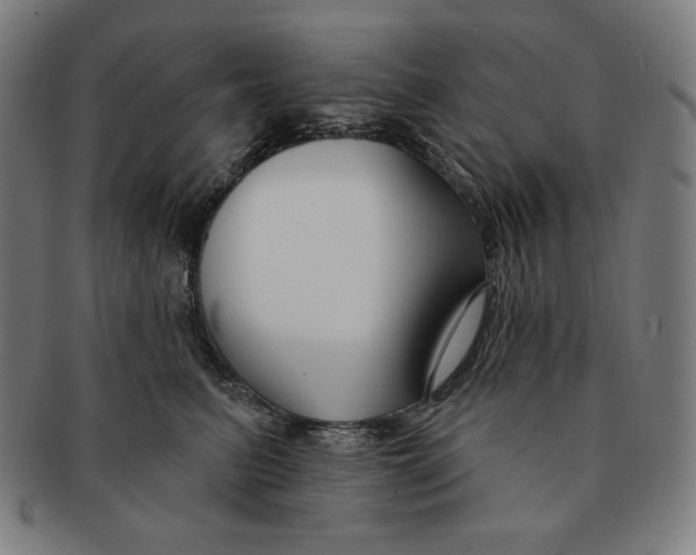 X0000090950615200708301141