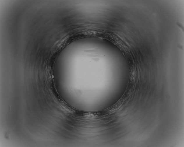 X0000090950616200708301141