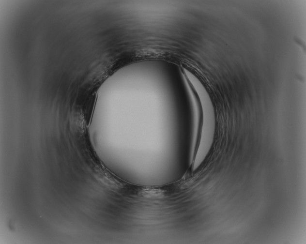 X0000090950617200708301141