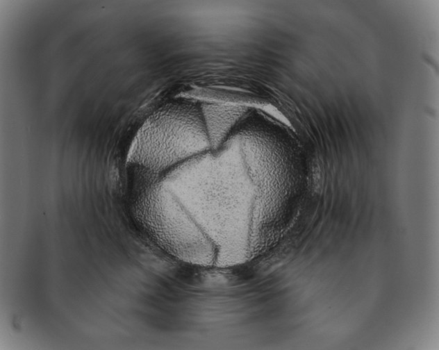 X0000090950618200708301141