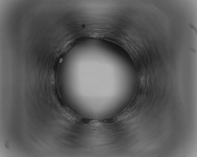 X0000090950620200708301141