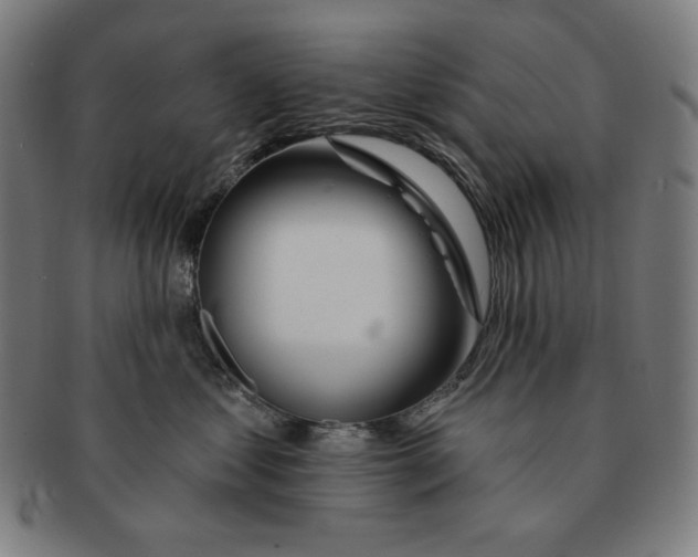 X0000090950621200708301141