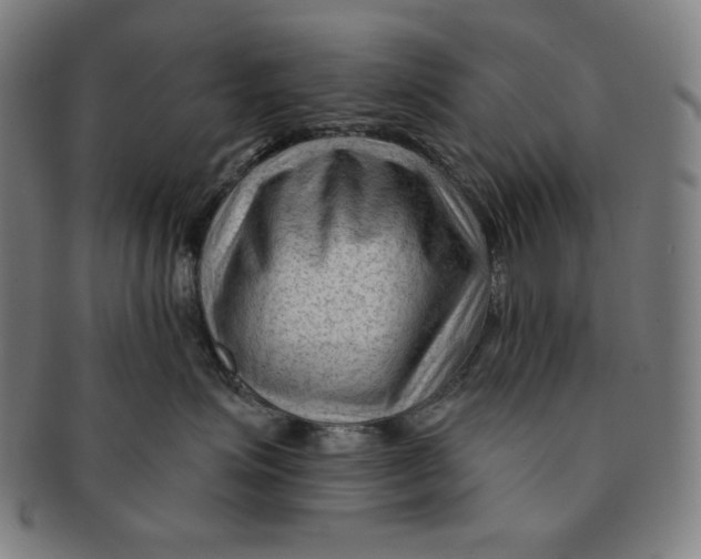 X0000090950623200708301141