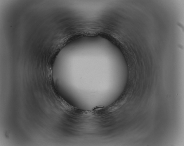 X0000090950624200708301141