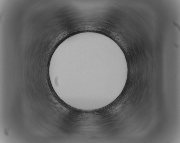 X0000090950625200708301140
