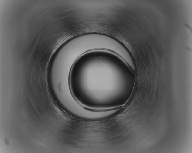 X0000090950626200708301140